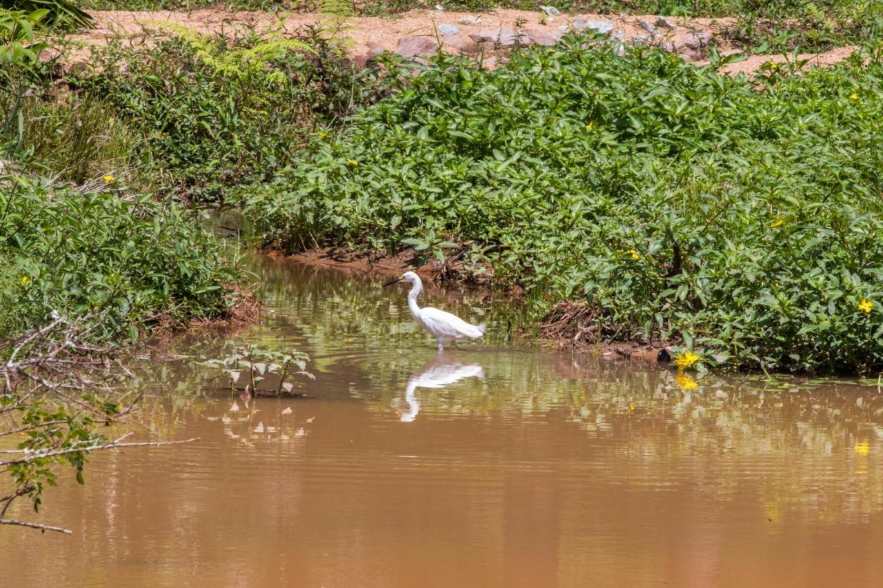 Mairiporã Villaggio Serra Da Cantareira מראה חיצוני תמונה
